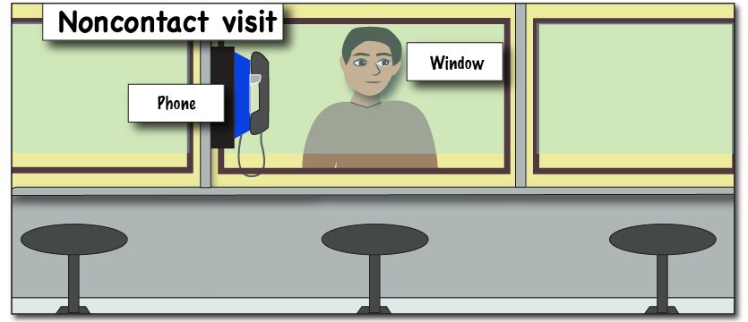 phone, window, noncontact visit